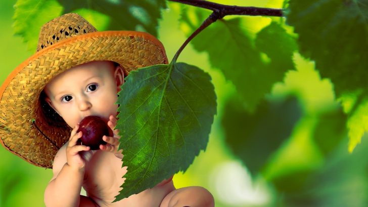 summer-g12bd75ec0_1920-728x409.jpg