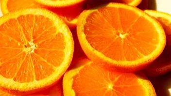 oranges-on-a-plate-352x198.jpg