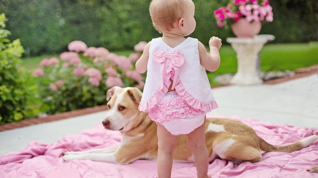 baby-with-dog-7388048_1280-1100x618.jpg