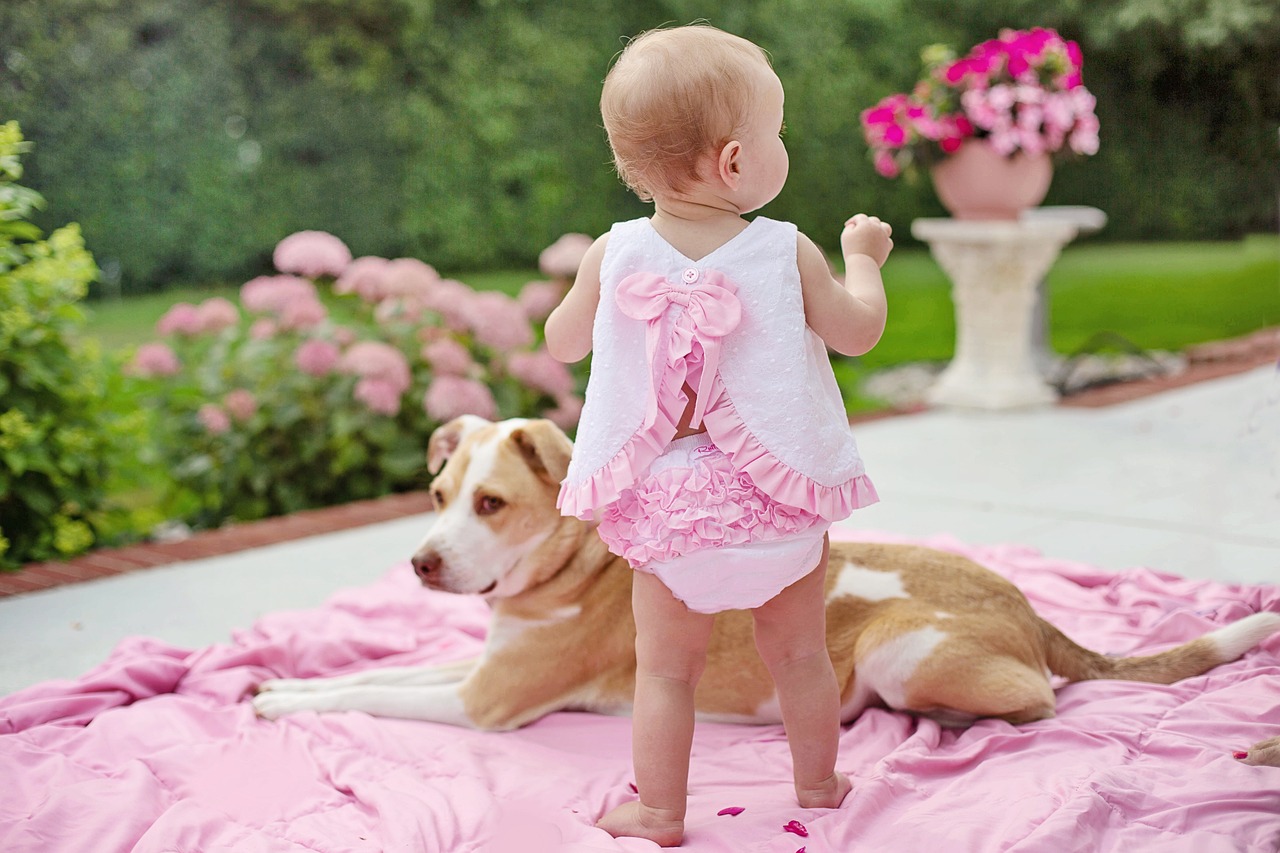 baby-with-dog-7388048_1280