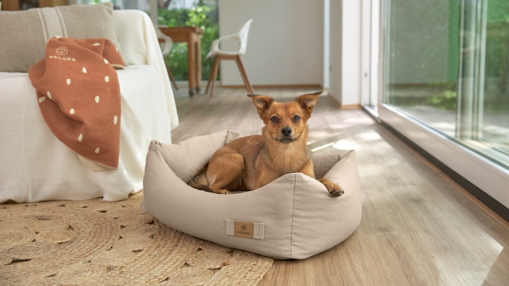 dog-bed-fred-perex.jpg
