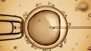 ivf_umele_oplodnenie_vajicko_istock_000035548108small-352x198.jpg