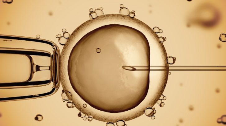 ivf_umele_oplodnenie_vajicko_istock_000035548108small-728x409.jpg